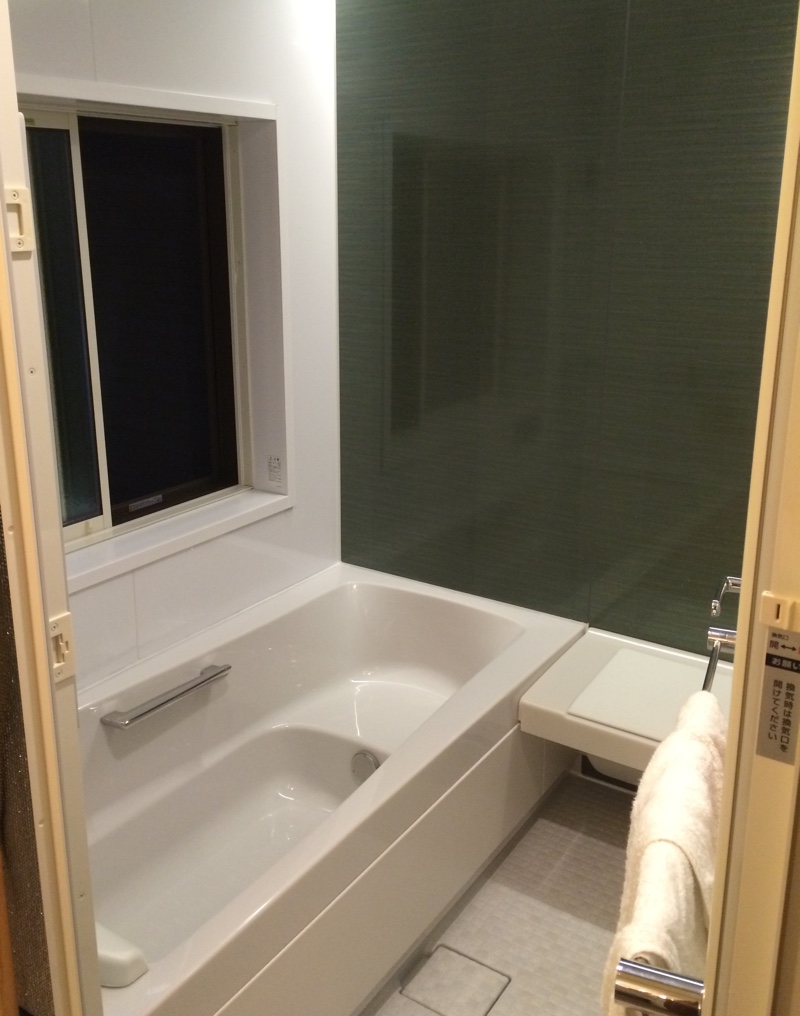 Bathroom_Window.jpg